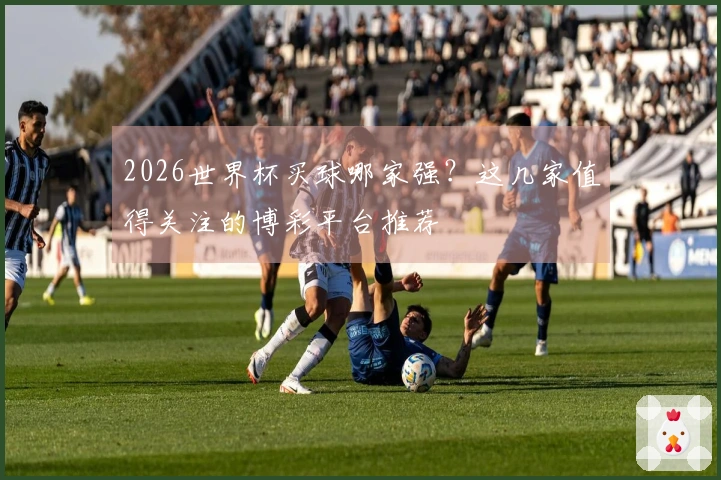 2026世界杯买球哪家强?这几家值得关注的博彩平台推荐