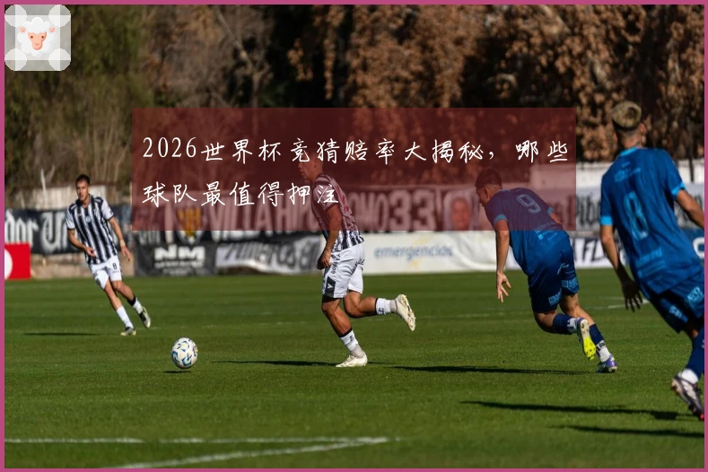 2026世界杯竞猜赔率大揭秘,哪些球队最值得押注