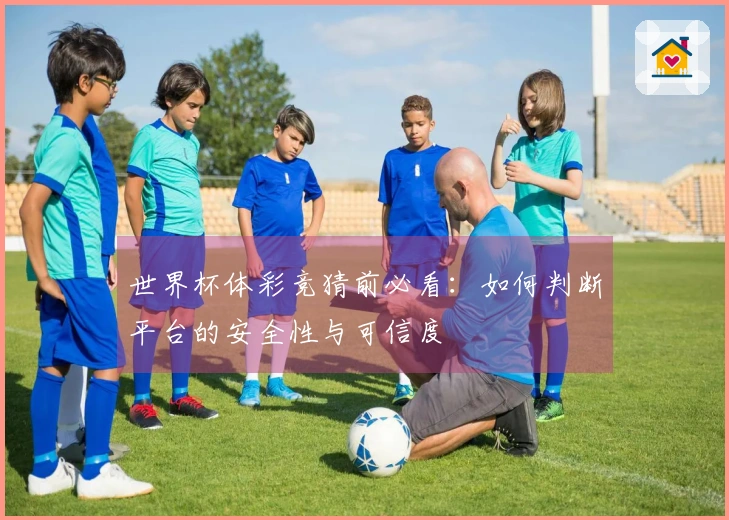 世界杯体彩竞猜前必看：如何判断平台的安全性与可信度