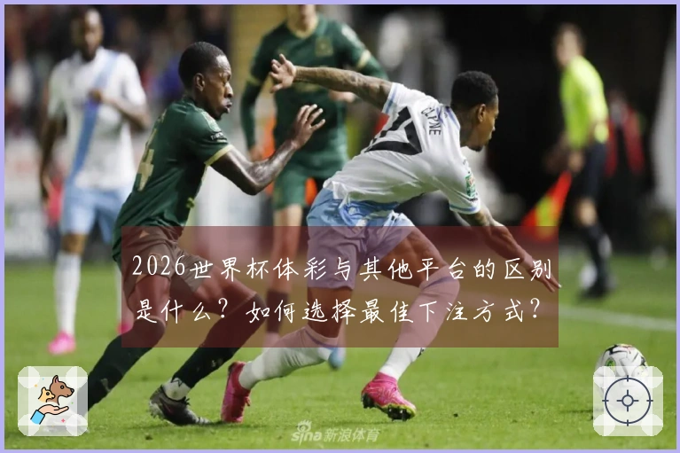2026世界杯体彩与其他平台的区别是什么？如何选择最佳下注方式？