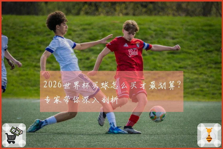 2026世界杯买球怎么买才最划算？专家带你深入剖析