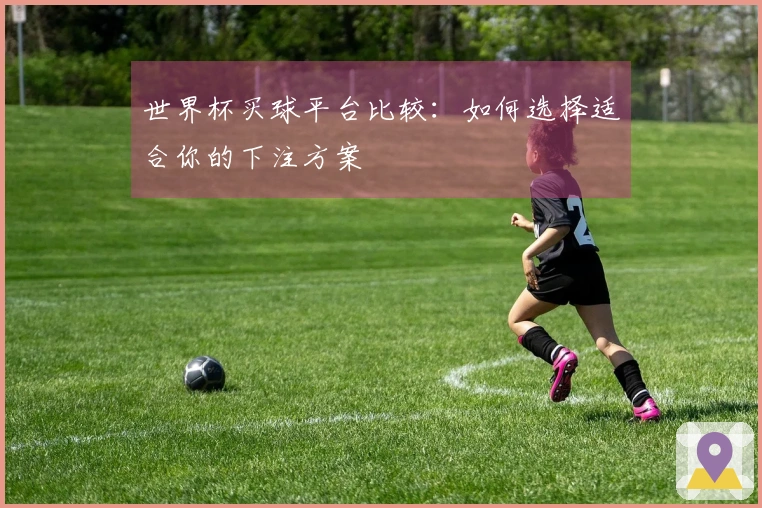 世界杯买球平台比较：如何选择适合你的下注方案