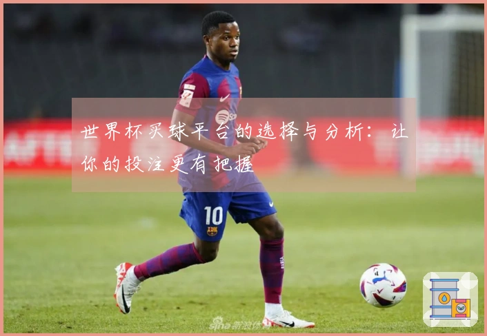世界杯买球平台的选择与分析:让你的投注更有把握