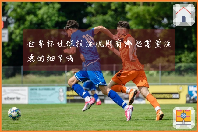 世界杯让球投注规则有哪些需要注意的细节吗