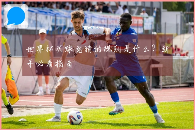 世界杯买球竞猜的规则是什么？新手必看指南