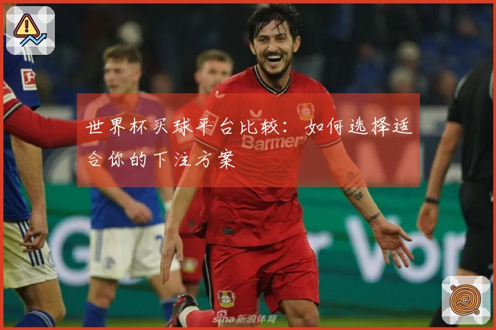 世界杯买球平台比较：如何选择适合你的下注方案