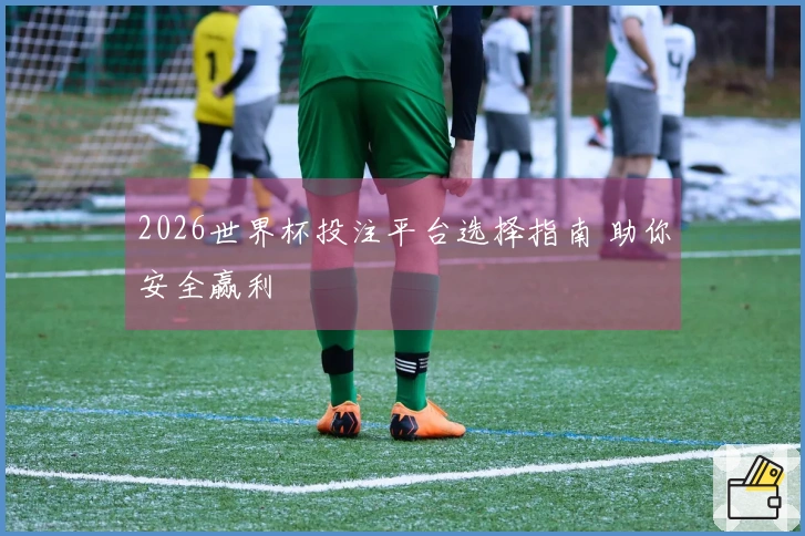 2026世界杯投注平台选择指南 助你安全赢利