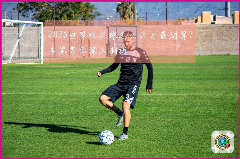 2026世界杯买球怎么买才最划算?专家带你深入剖析