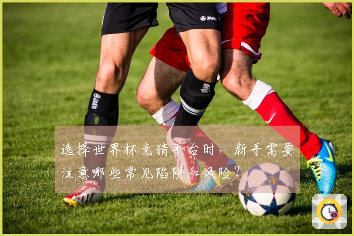 选择世界杯竞猜平台时，新手需要注意哪些常见陷阱和风险？