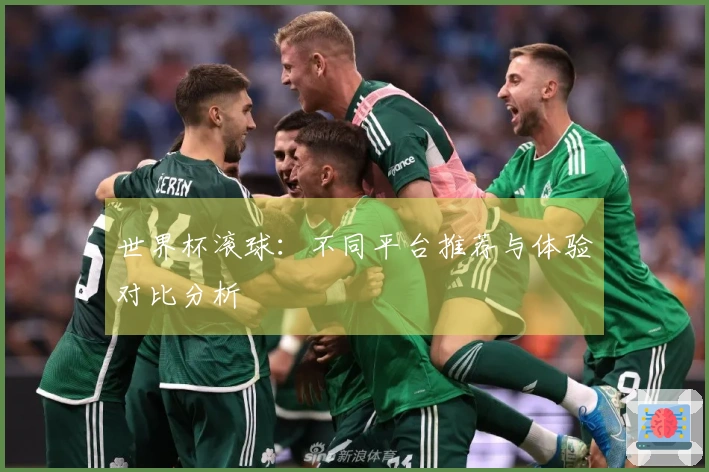 世界杯滚球：不同平台推荐与体验对比分析
