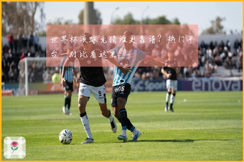 世界杯滚球竞猜谁更靠谱？热门平台一对比看这里