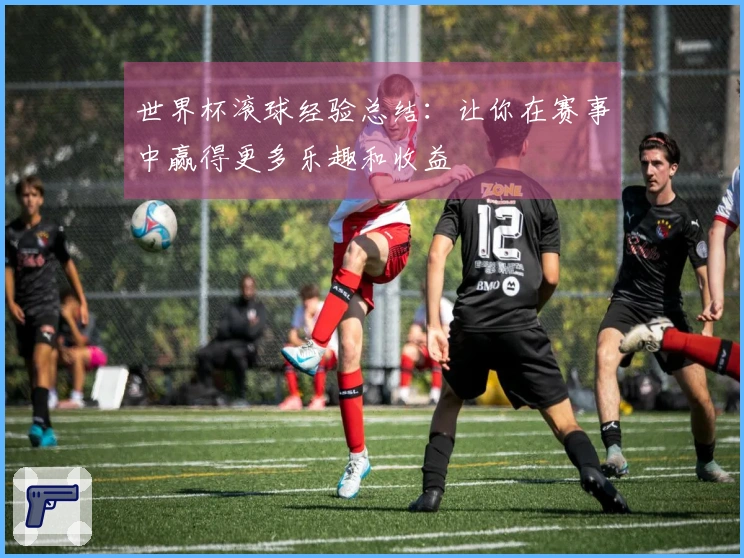 世界杯滚球经验总结：让你在赛事中赢得更多乐趣和收益