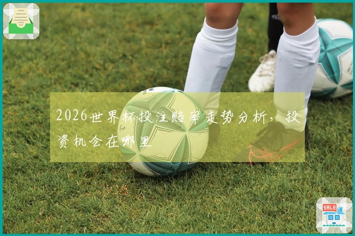 2026世界杯投注赔率走势分析,投资机会在哪里